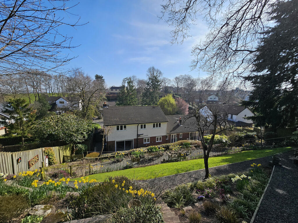 View at Rear