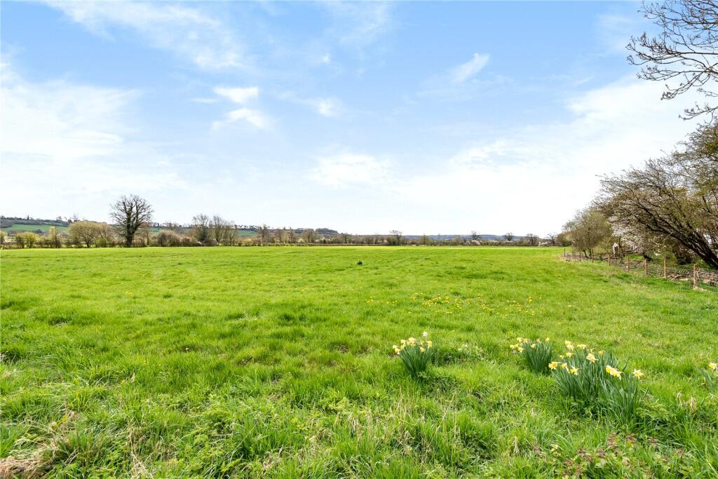 Surrounding Fields