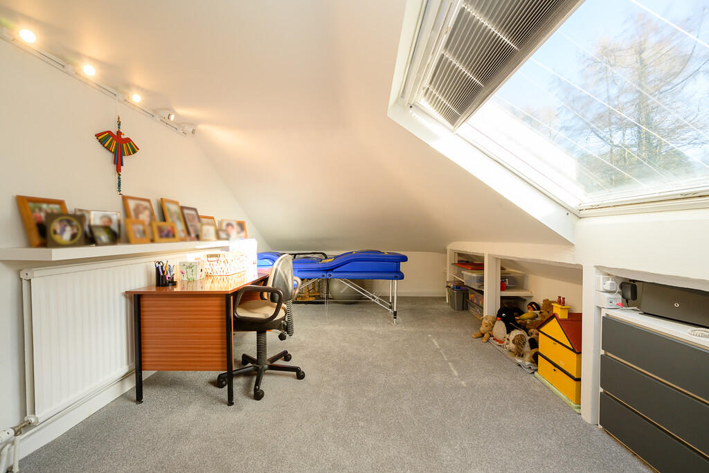 Andross Blurred P...