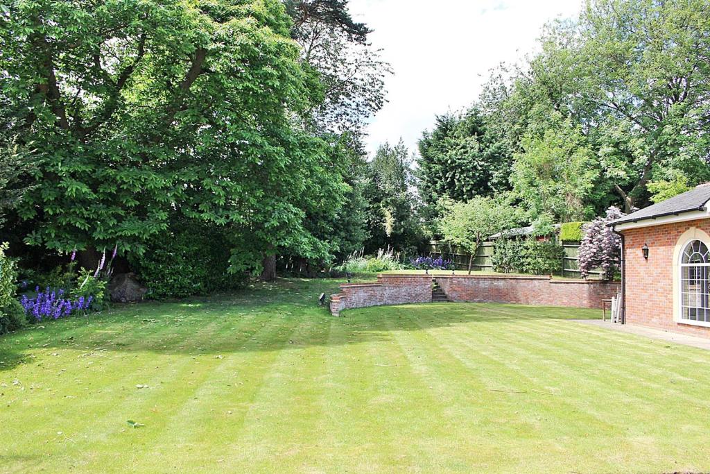 Garden.JPG