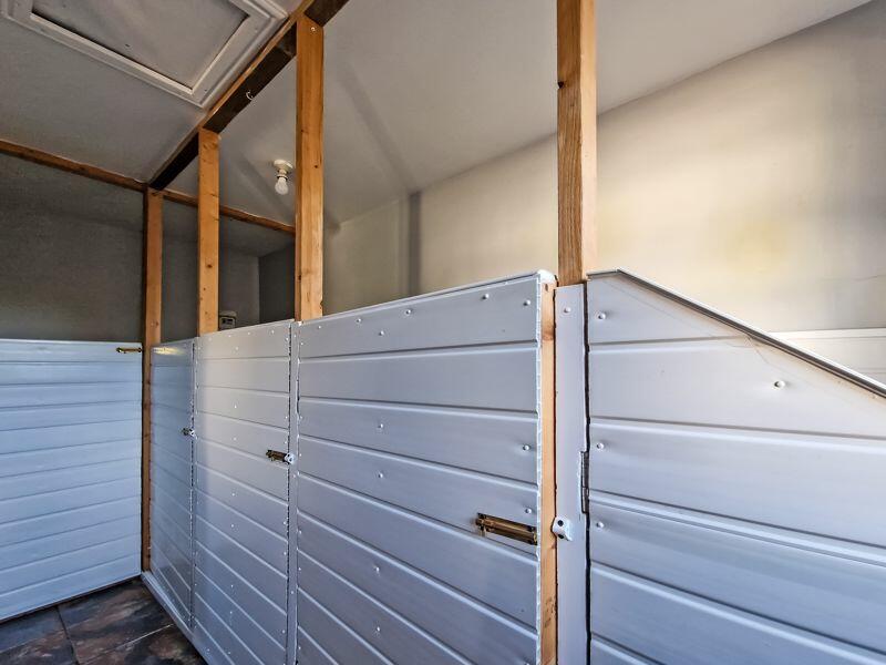 KENNELS