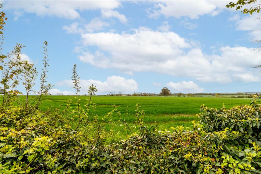 View Over Fields