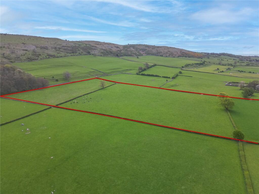 Lot 4