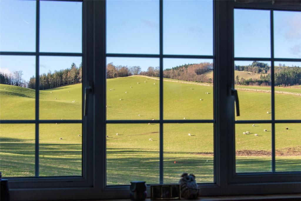 Window View