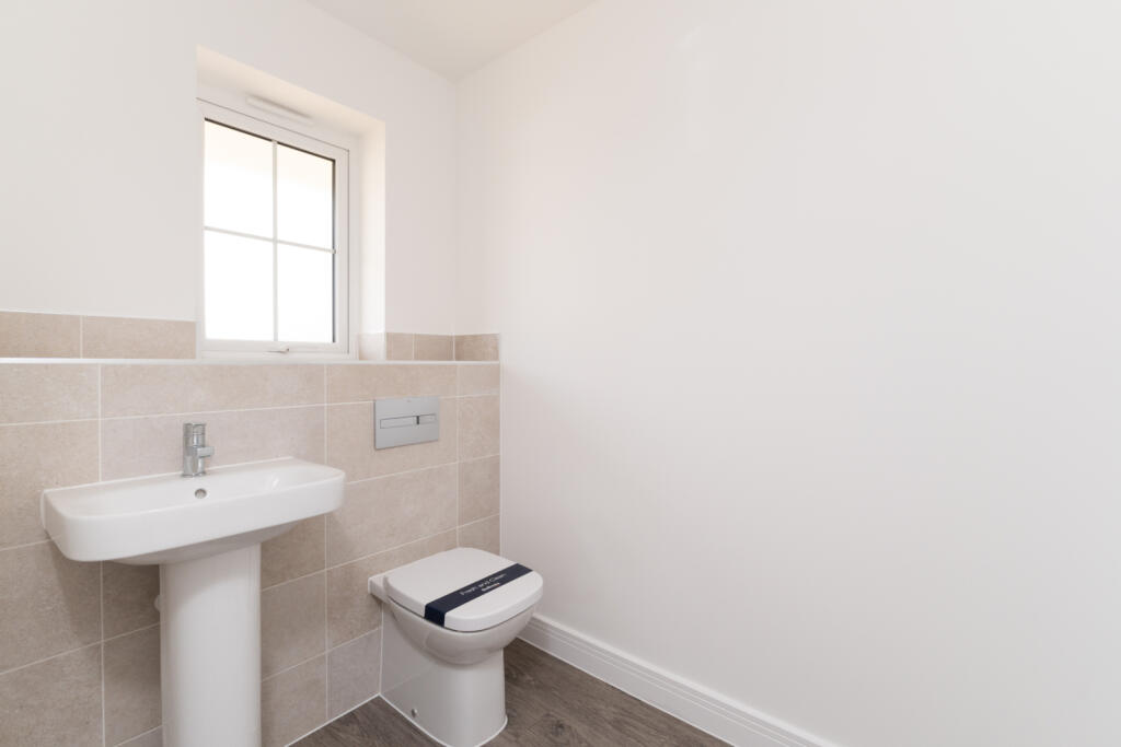 Picture No. 13