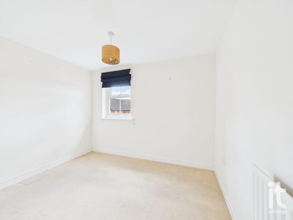 Photograph 25