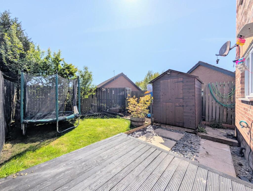 Back Garden