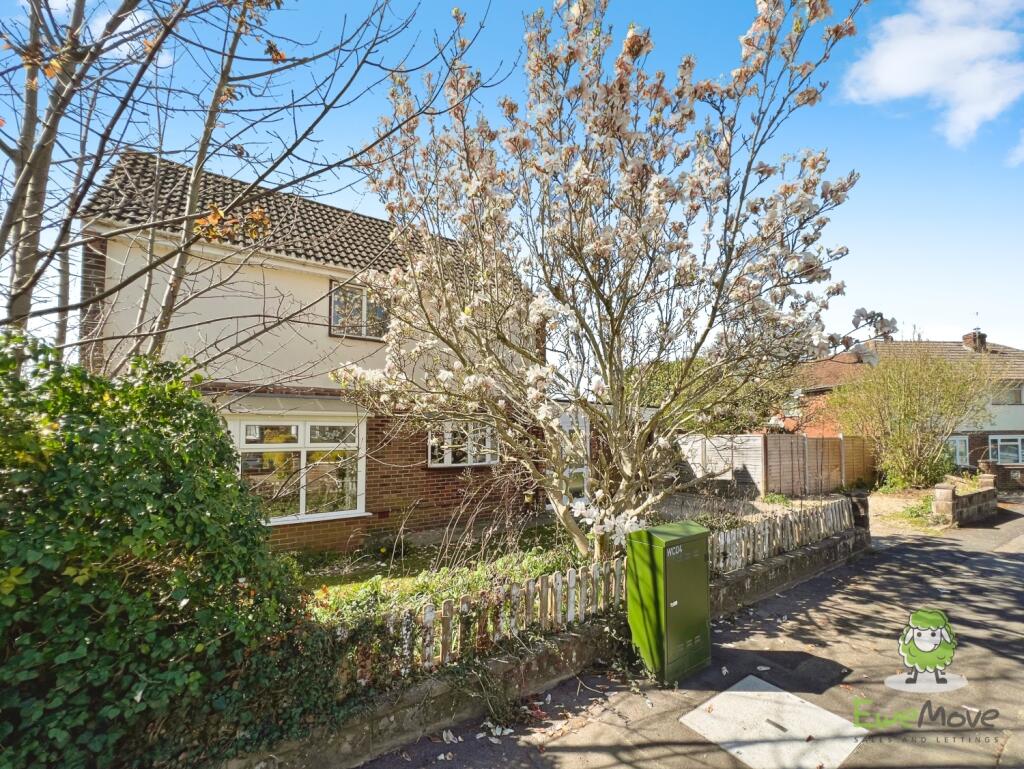 EweMove Basingstoke Estate Agents Chandler Road