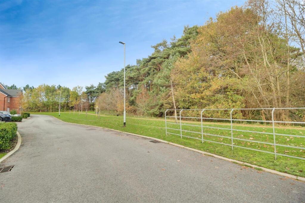 user_edited_photo-95c78f66_user-edited-18c920f3-ac