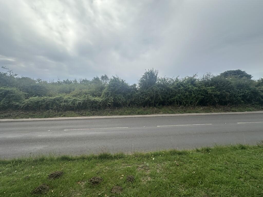 5  Medium  T202508131644.jpg