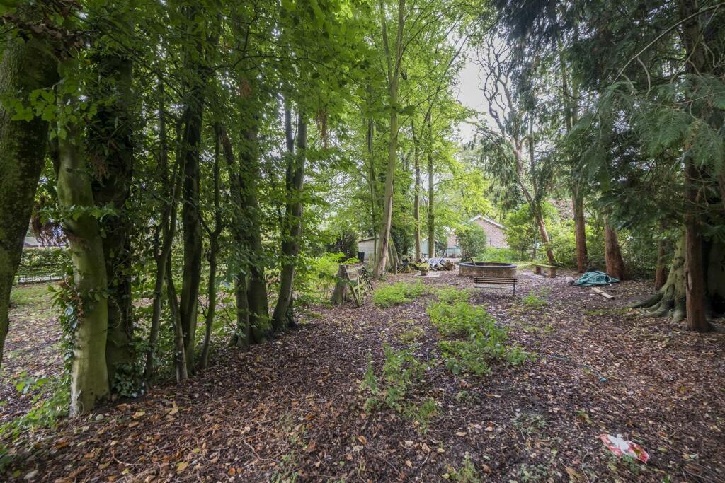 2 Riddings House-048.JPG