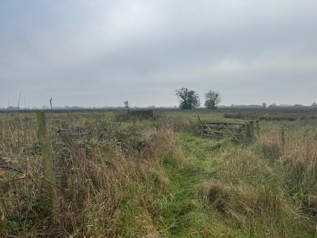 11 T202410291023.jpg