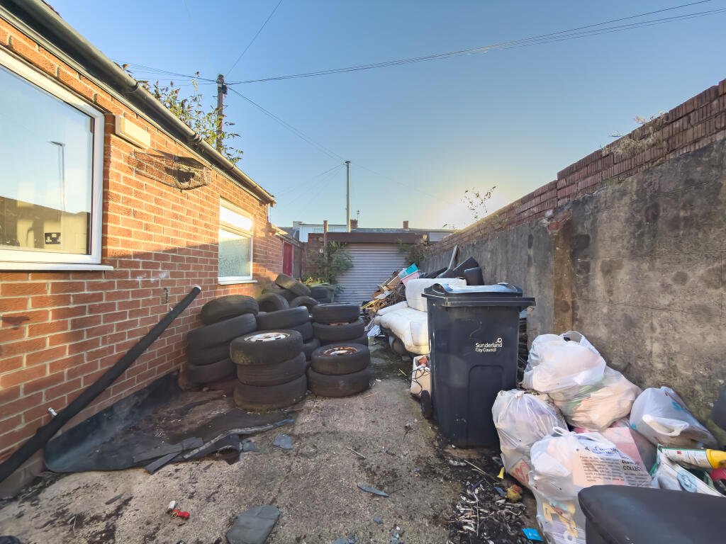 IMG 5004 T202509240857.jpg