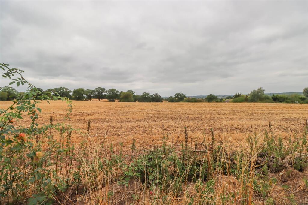 6 THE CHASE FIELDS.jpg