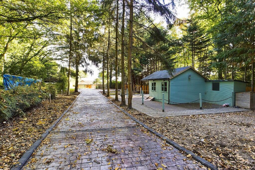 Driveway