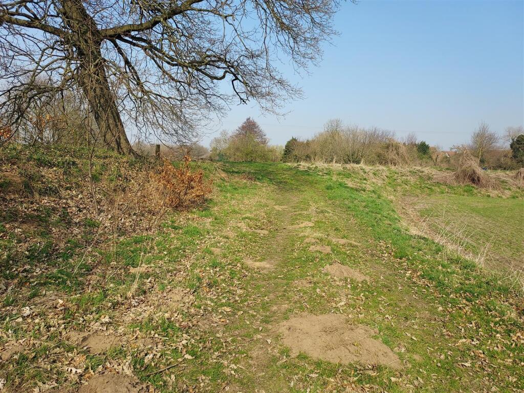 20220323_121317.jpg