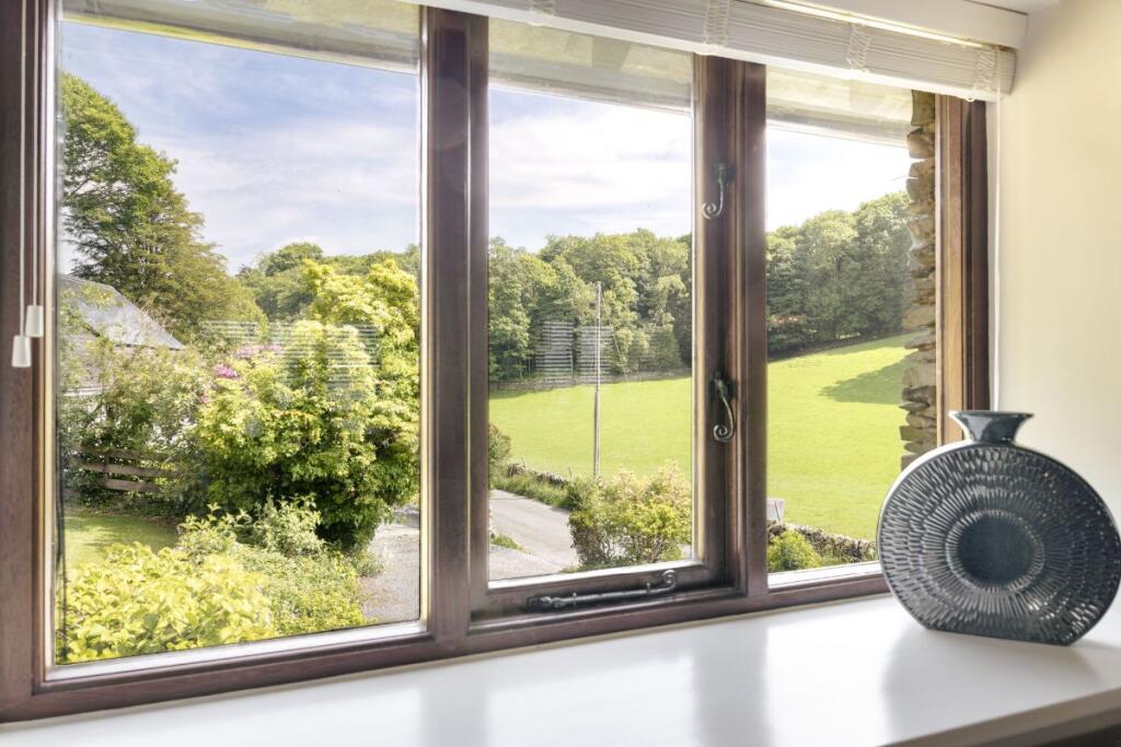 View from living room 