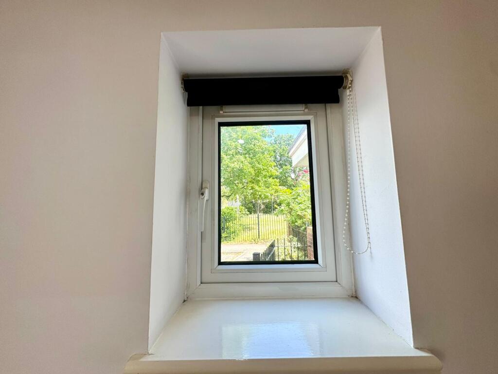 Window View