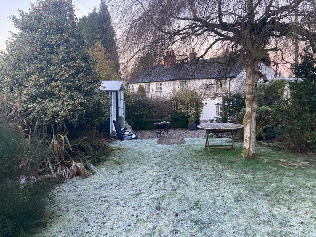 Lawn in Winter