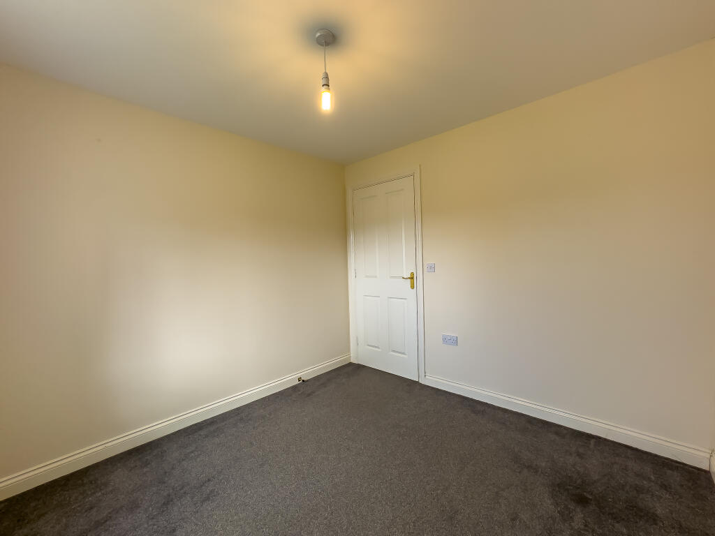 IMG 0247 T202510271353.jpg