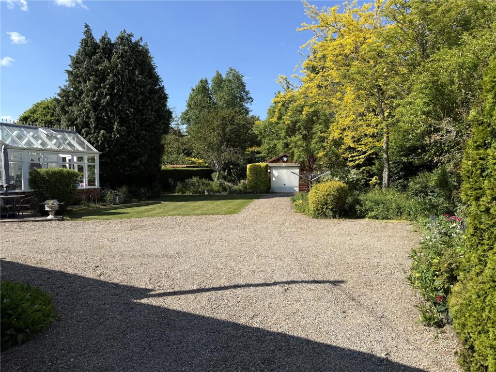 Photos