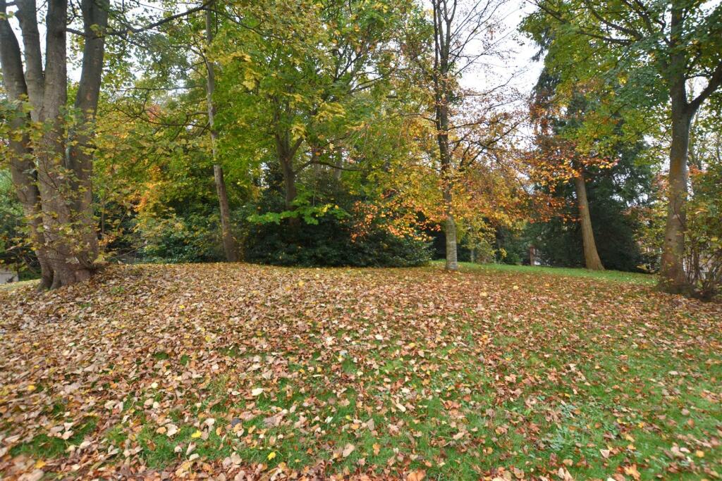 Outlook To Front.JPG