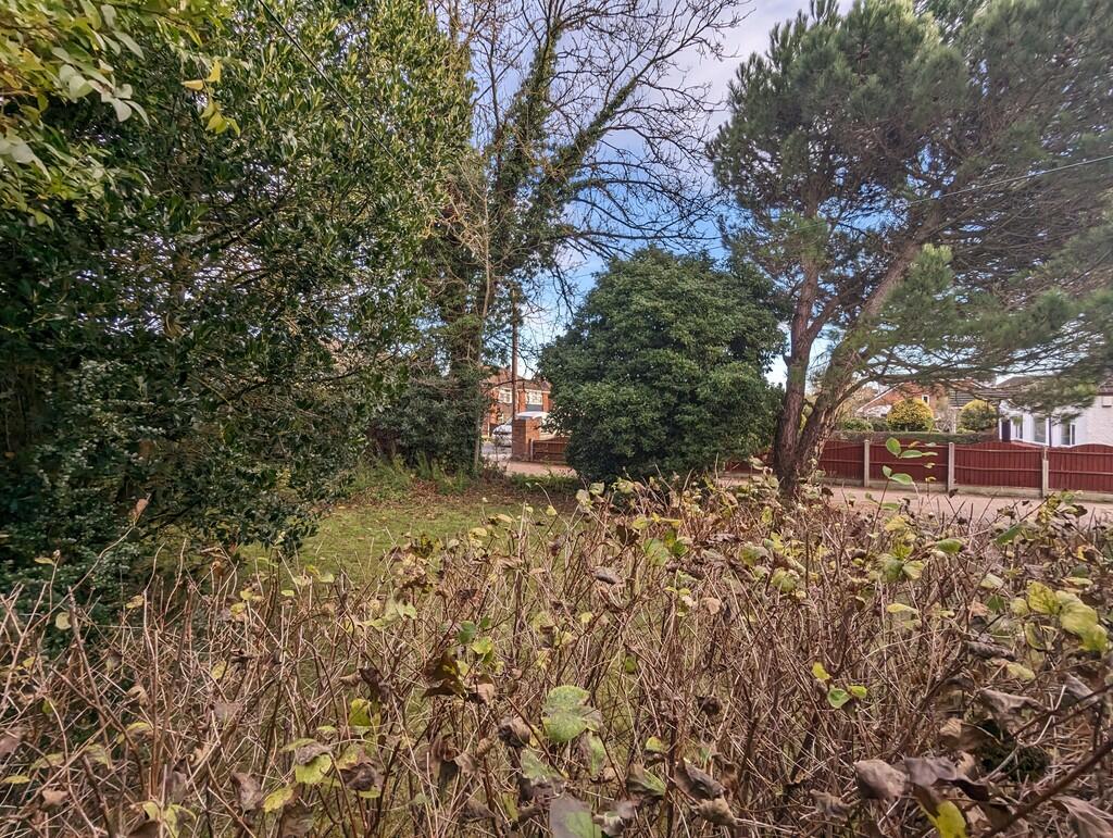 garden 7