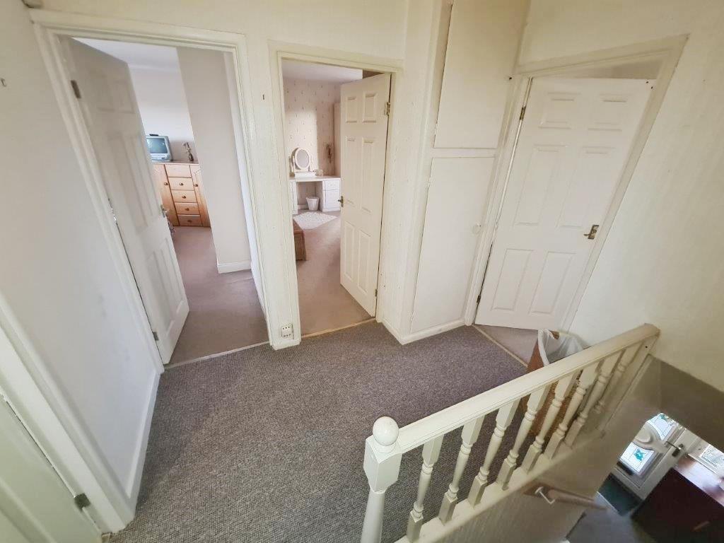 20250204_155400.jpg