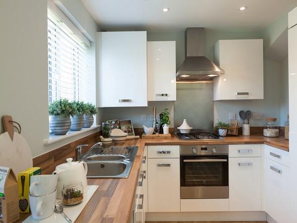 hanbury-8.jpg