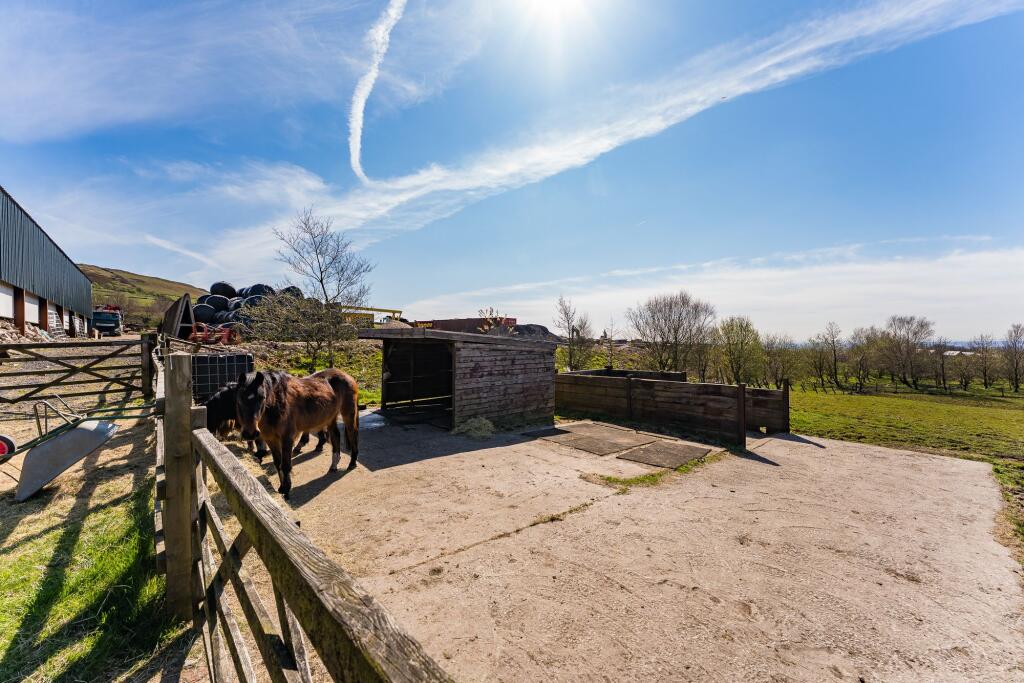 Stables