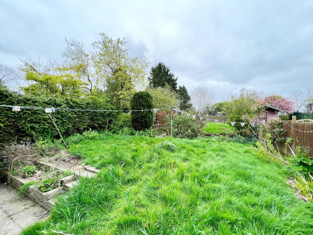 Garden 7.jpg