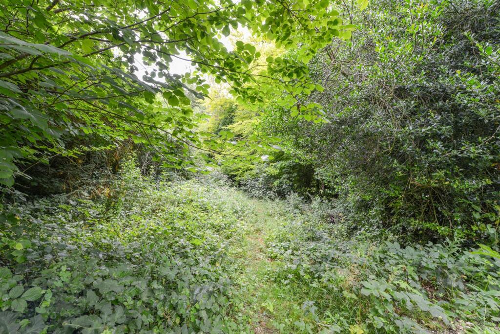 Land to SW of Yamaga Temple Ewell4.jpg