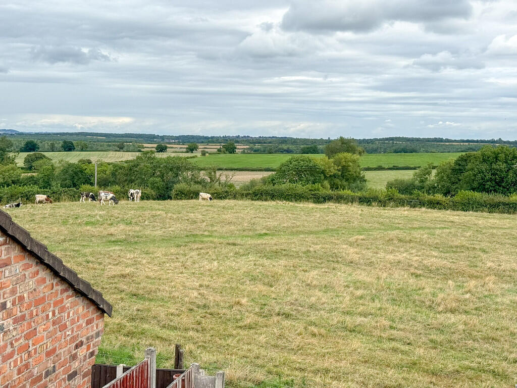 IMG_3579