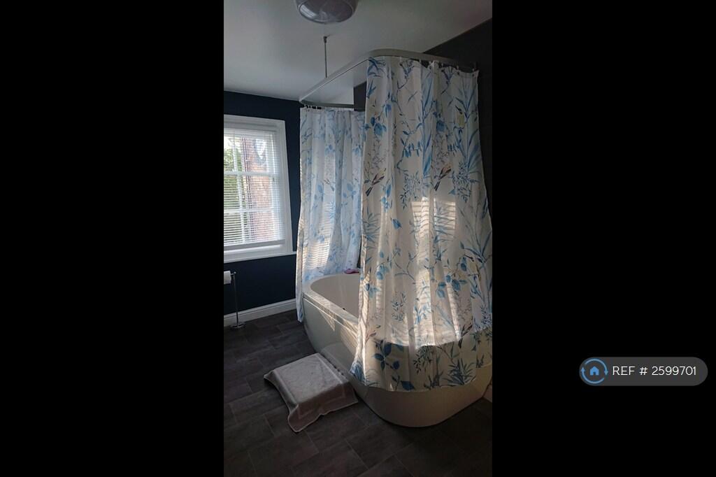 Bath + Shower 