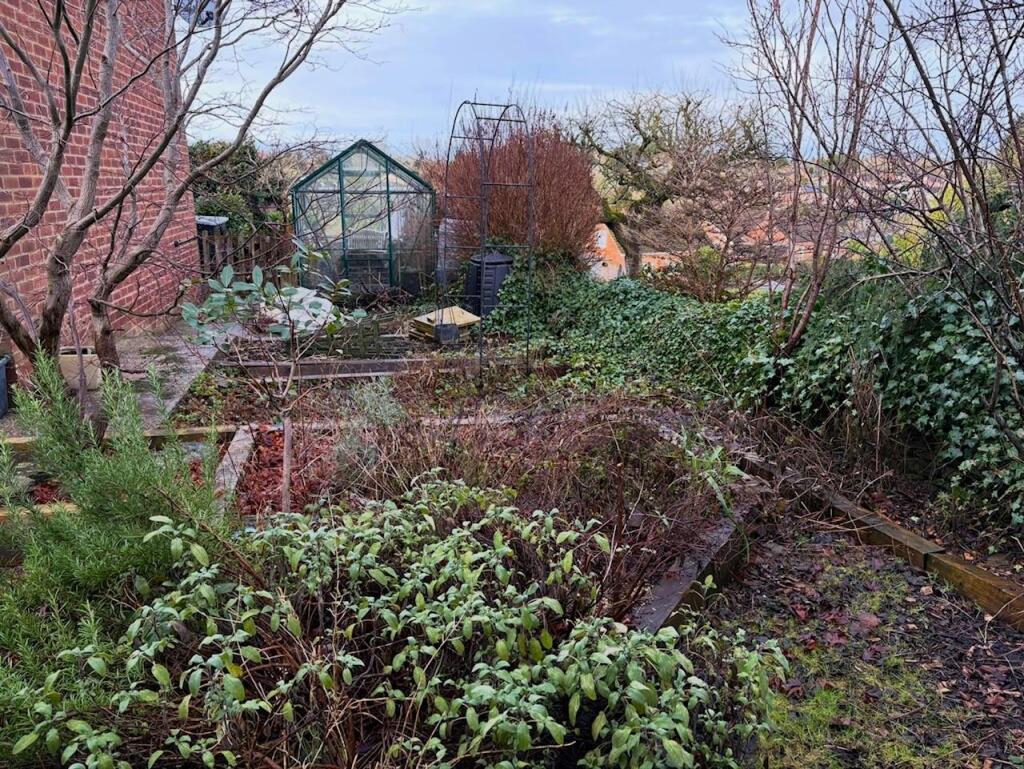 allotment.jpg