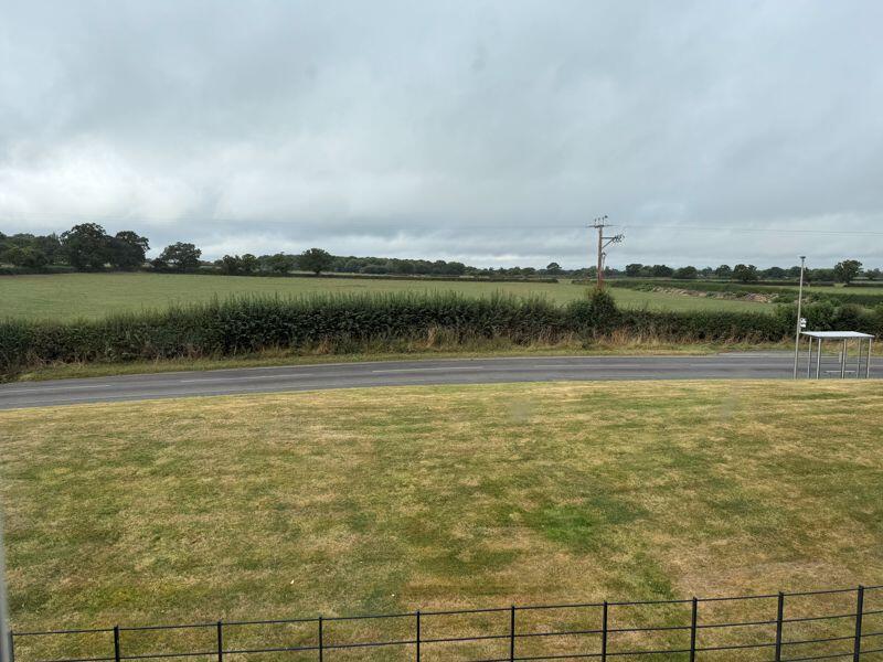 View from Kitchen