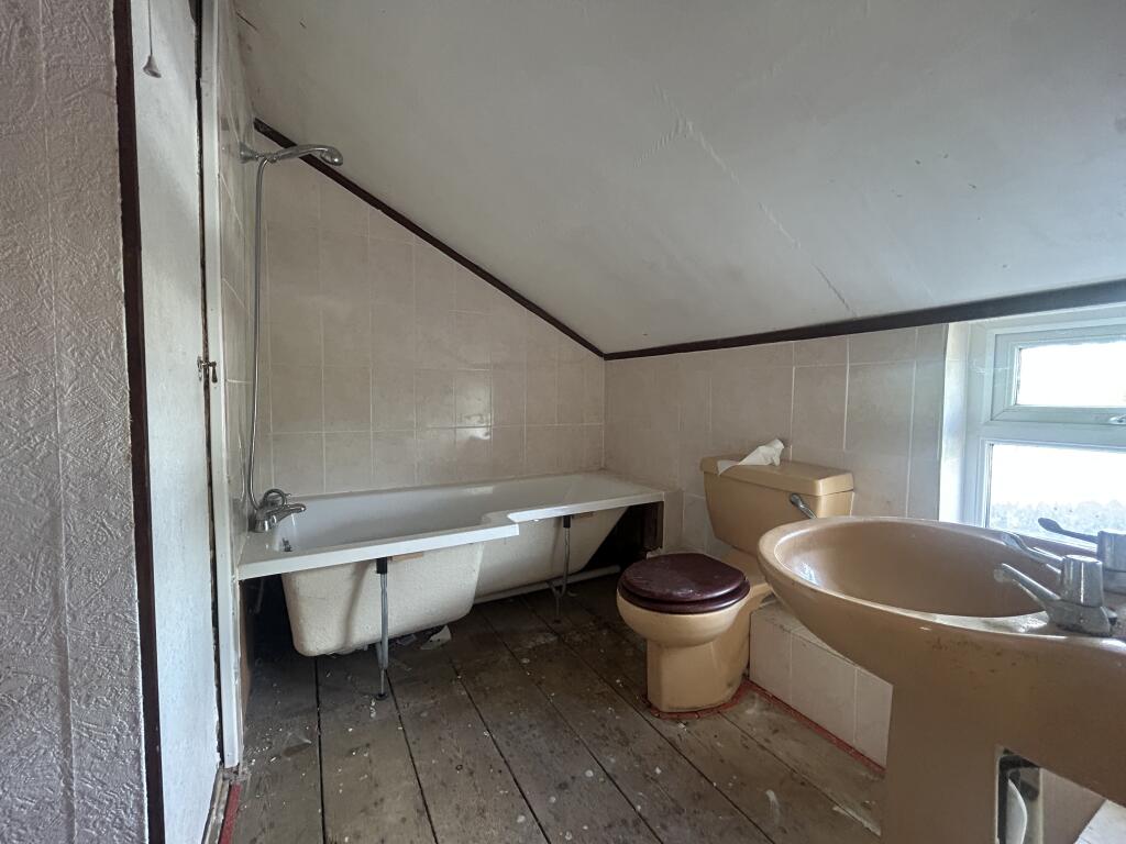 IMG 9211 T202509230945.jpg