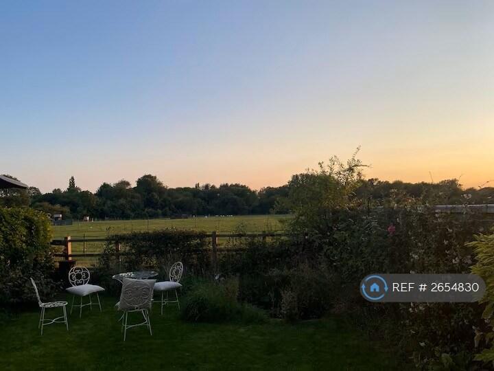 Sunset In Garden