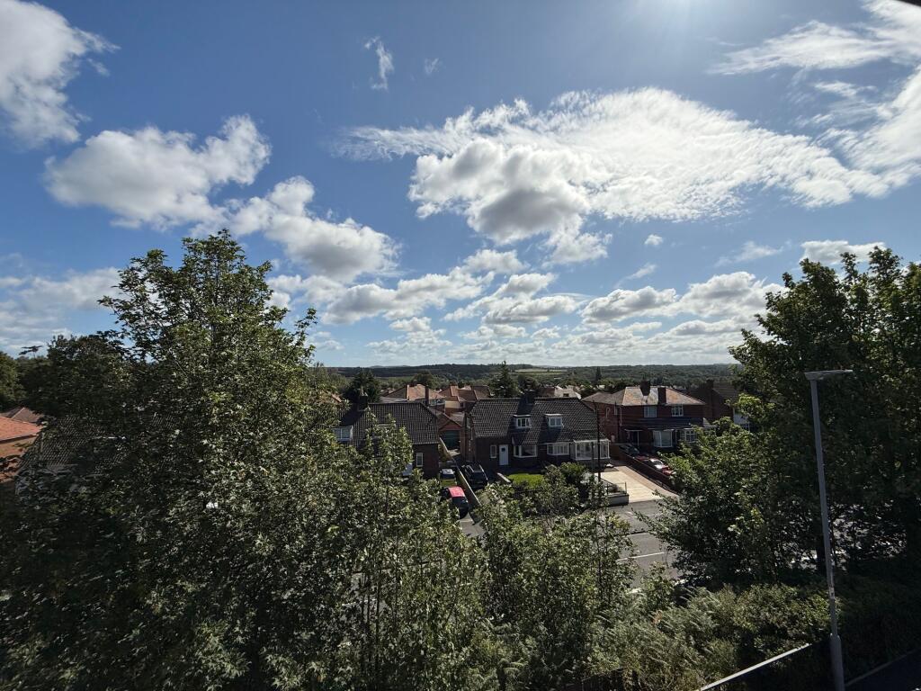 Photograph 14