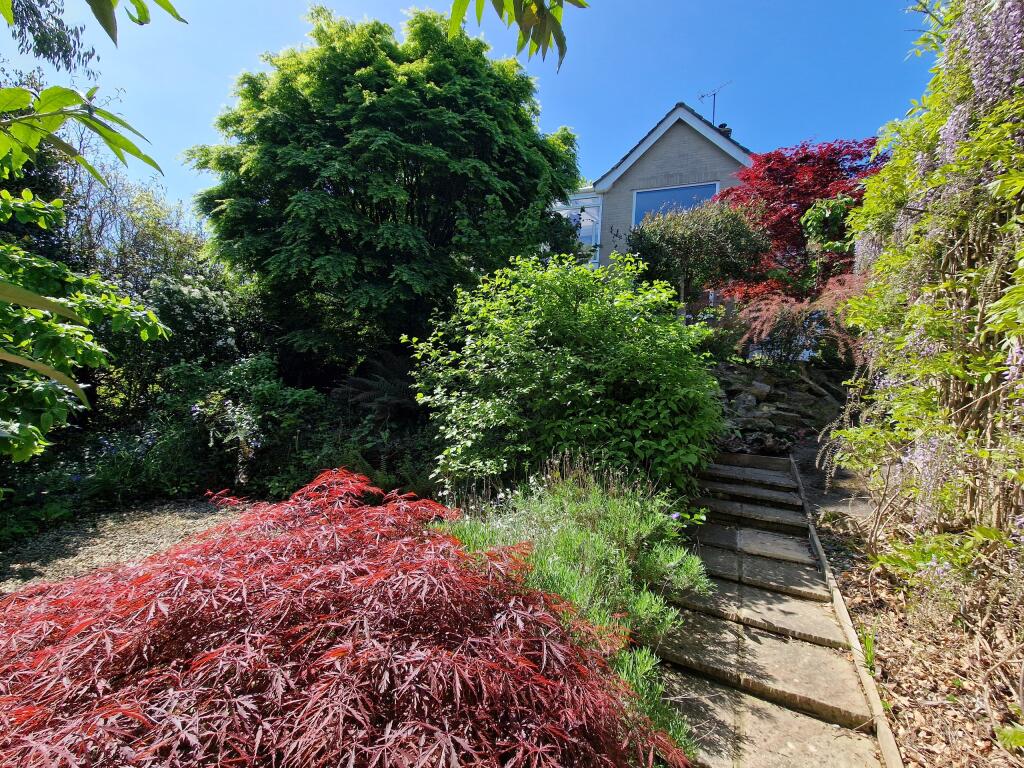Rear Garden-angle 4