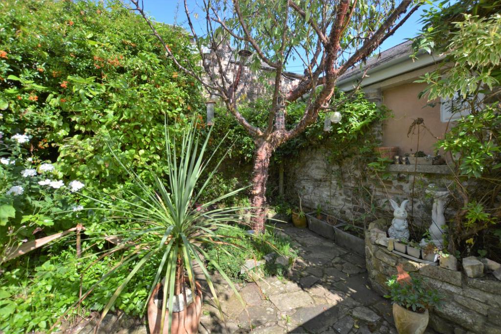 Bampton Seddons