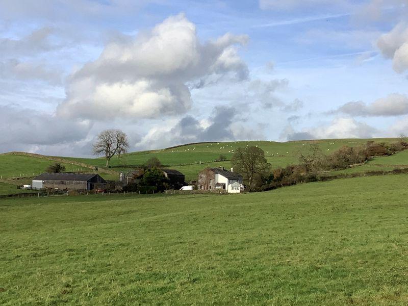 View over fields