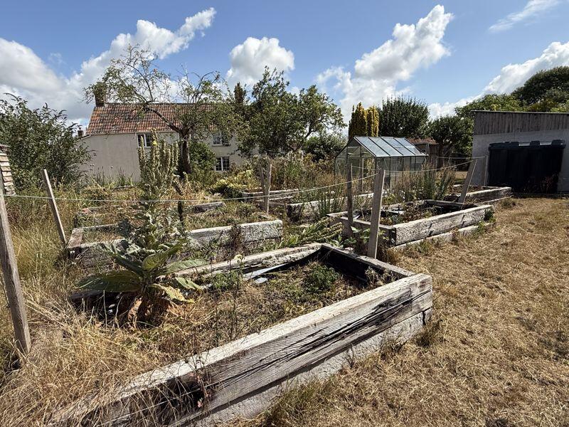 Raised vegetable beds
