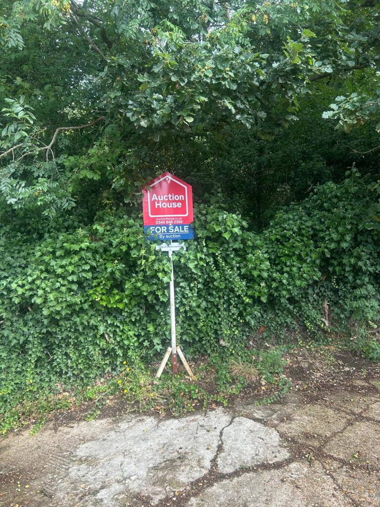 6f0a299f-e345-4310-9b2f-9681b95faa25 T202509032148.jpg