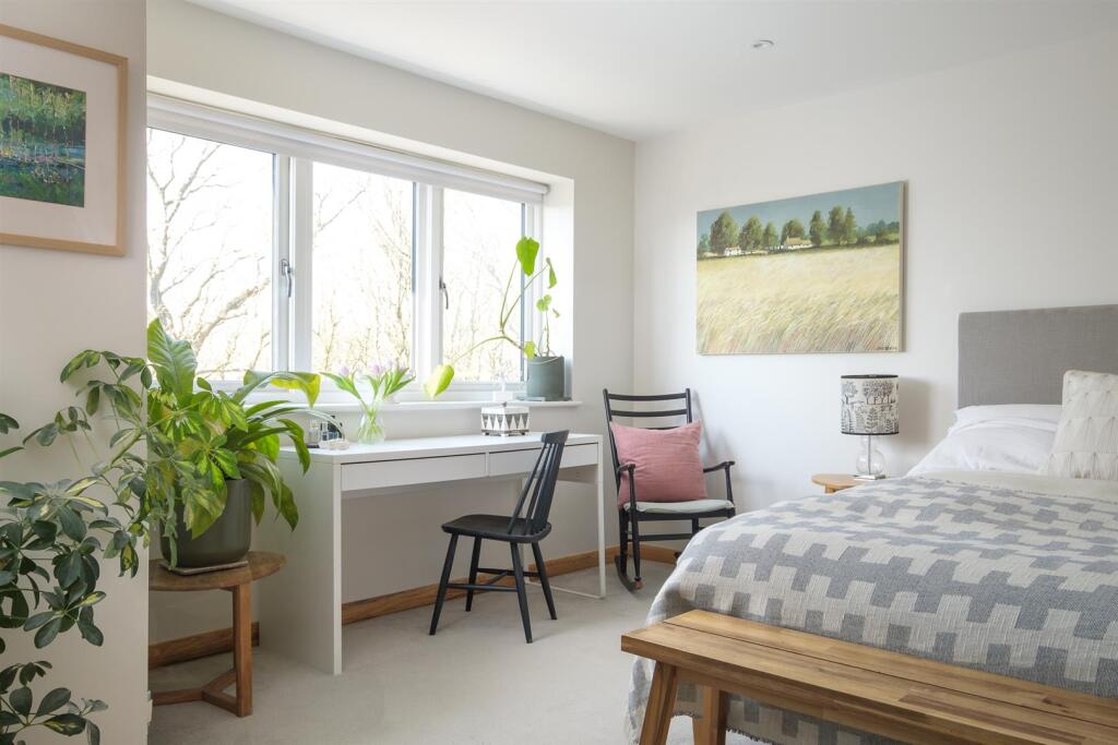 untitled (21 of 41).jpg