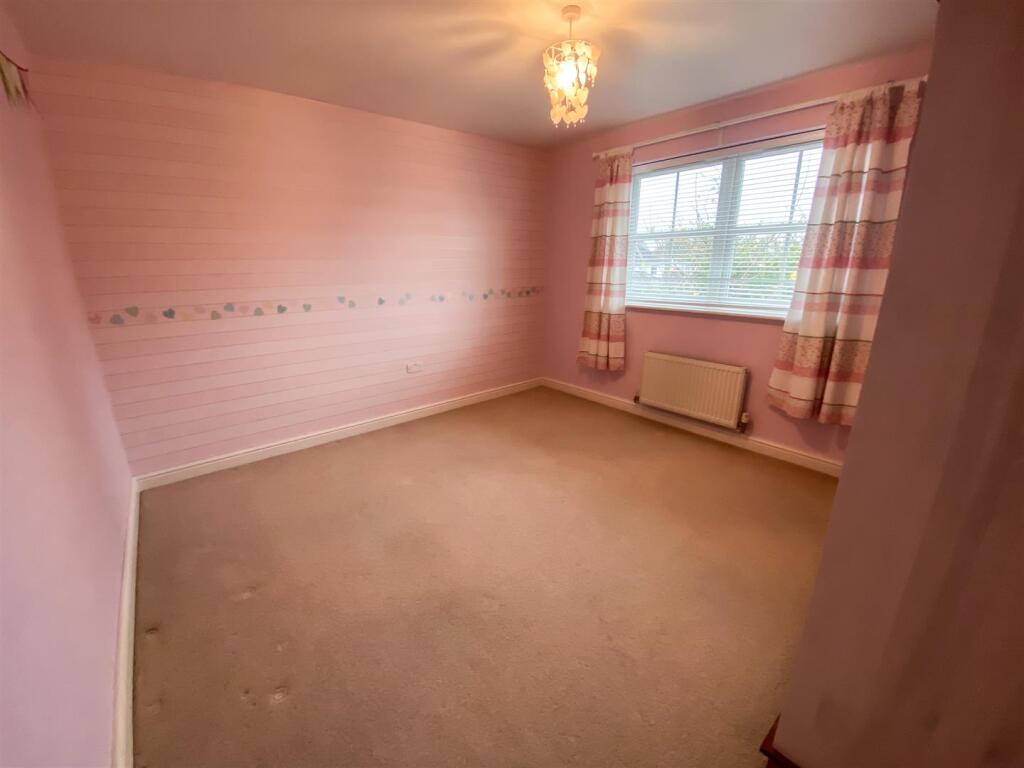 Monkey vs Owl Edit-3177.jpg