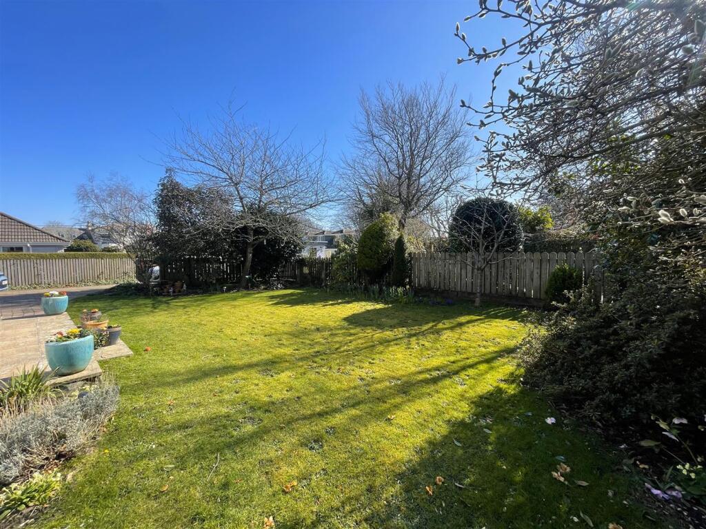 garden 2.jpg