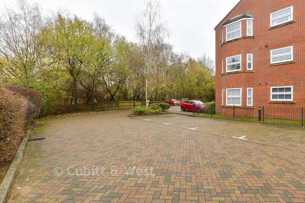 Driveway/Parking