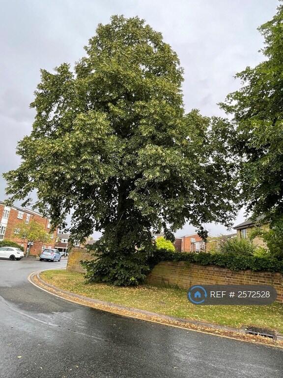 Street View From Entrance