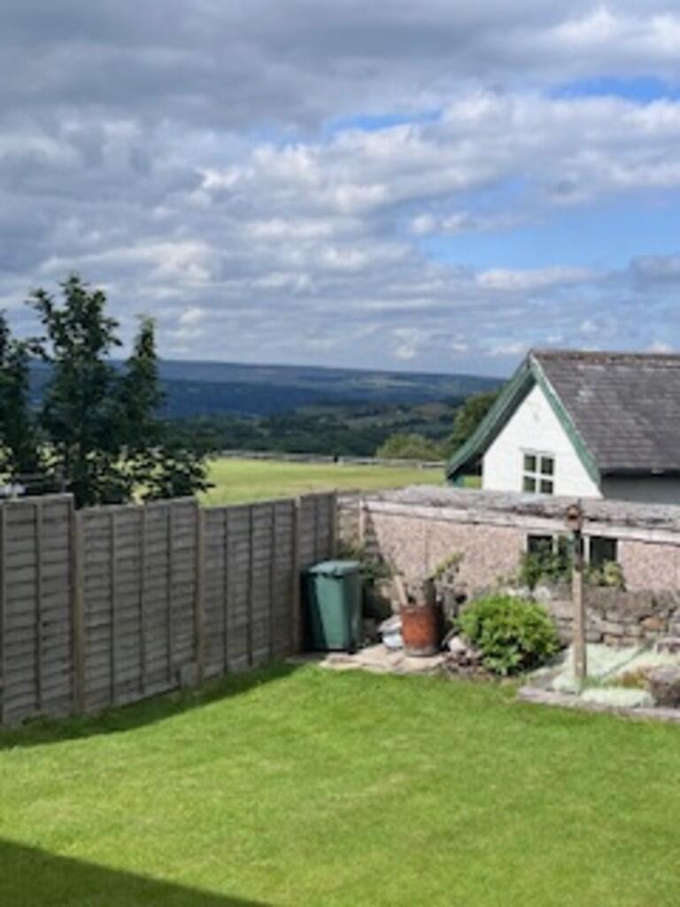 back garden new